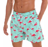 Traje de baño Caballero Short Aqua Flamingos