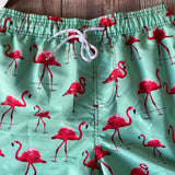 Traje de baño Caballero Short Aqua Flamingos