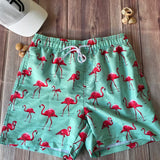 Traje de baño Caballero Short Aqua Flamingos